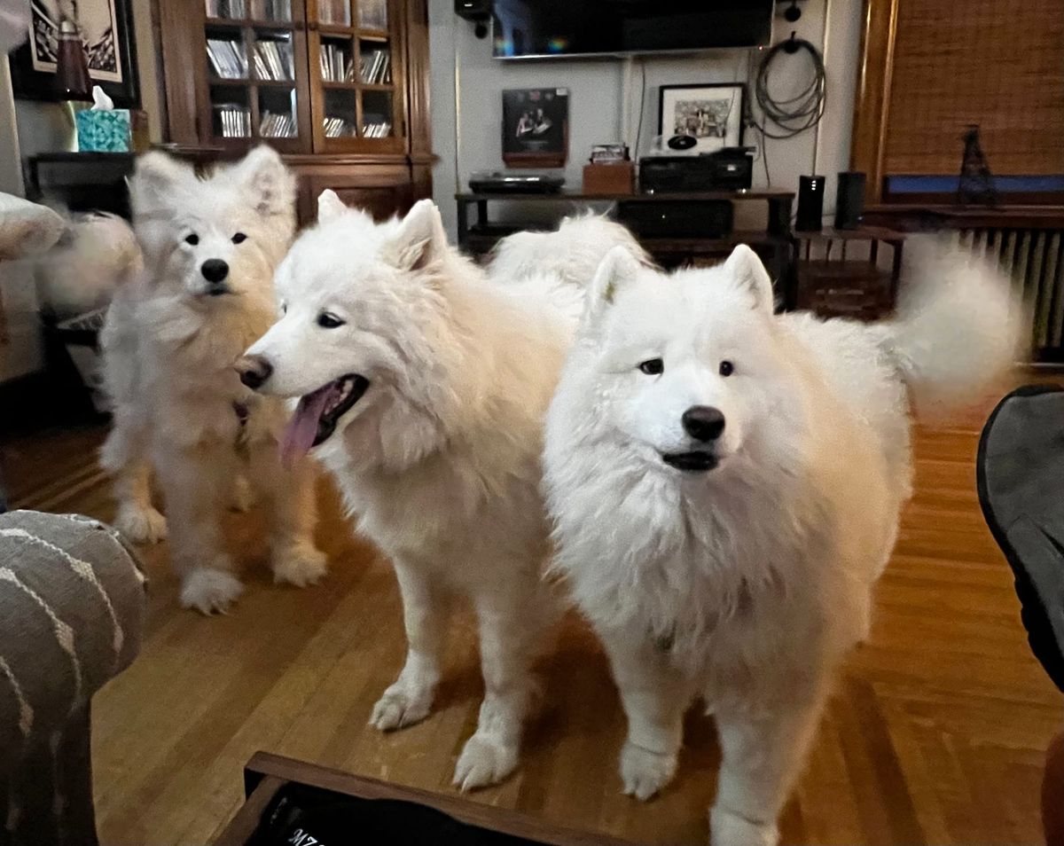 Happy Birthday, Isaac!