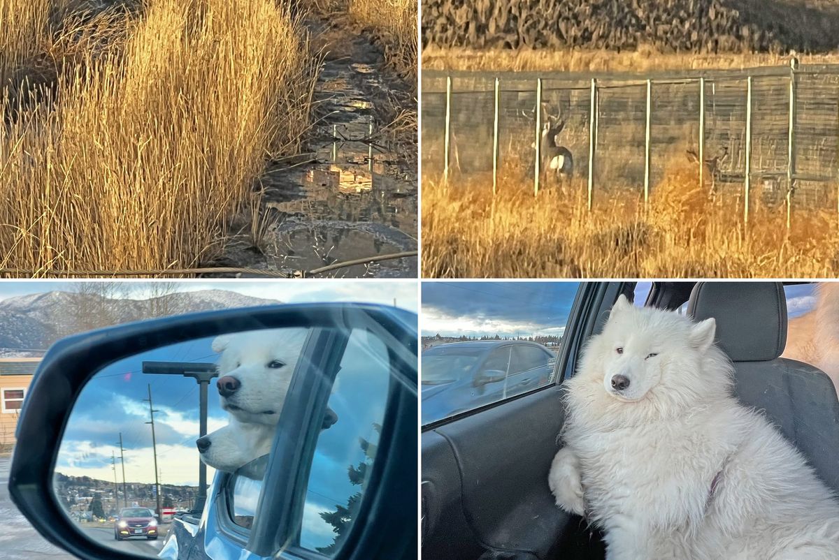 A drive instead of a walk