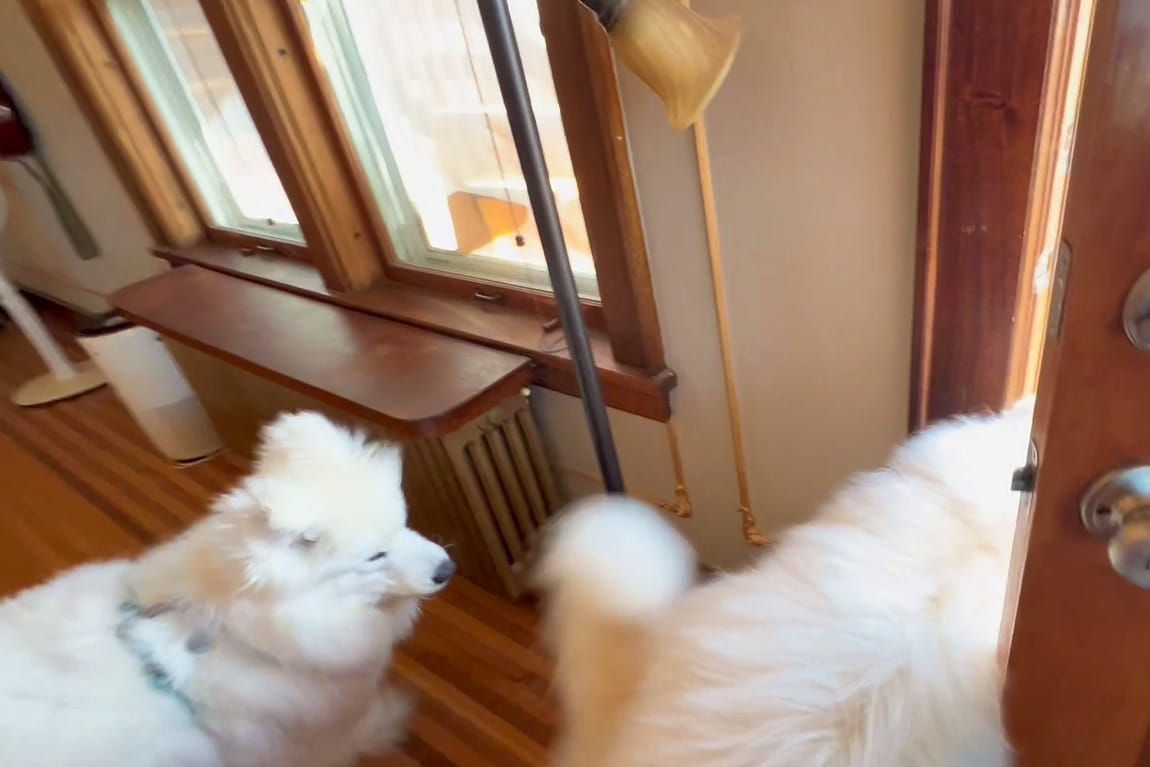 Let the party begin!