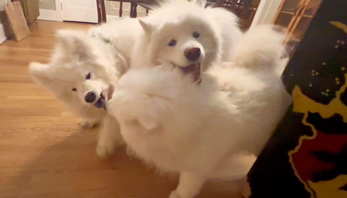 Everyone against Nancy