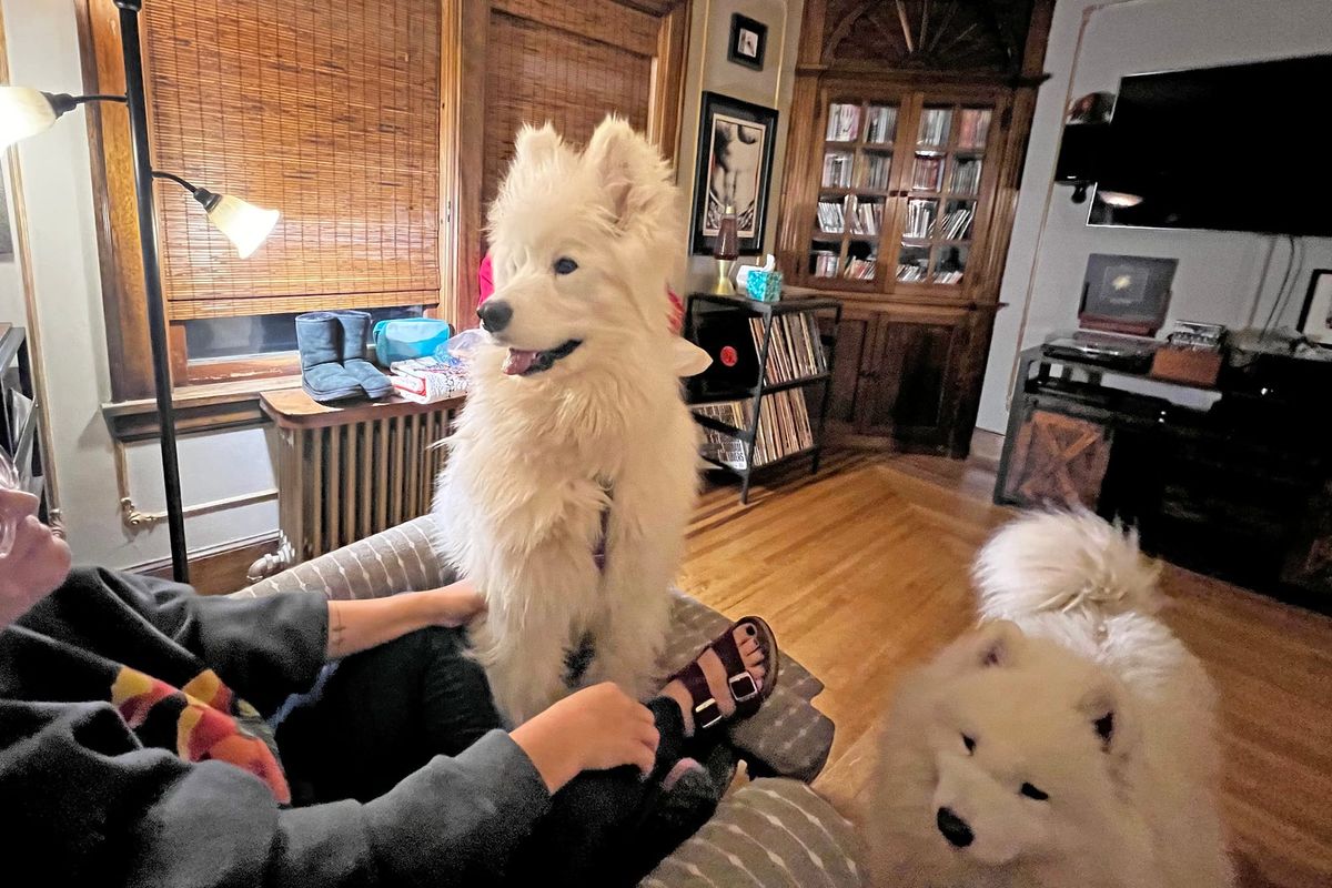 New Year's Eve fireworks