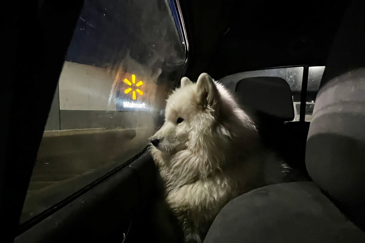 Waiting at the Walmart