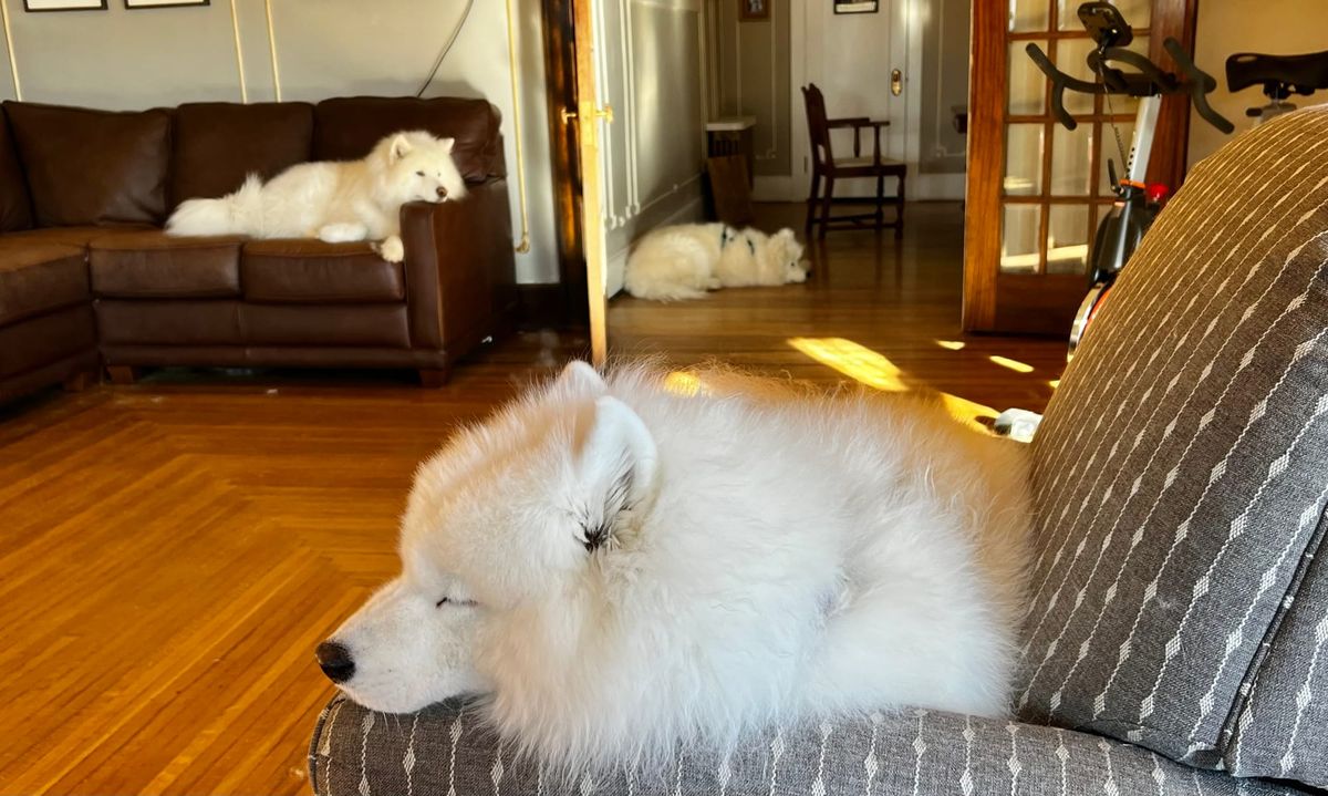 PT coaches hard at work