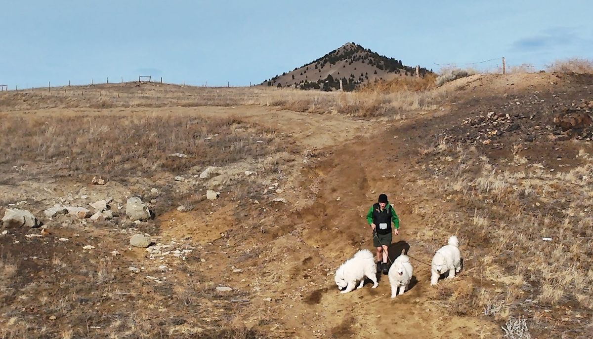 Friday afternoon walk