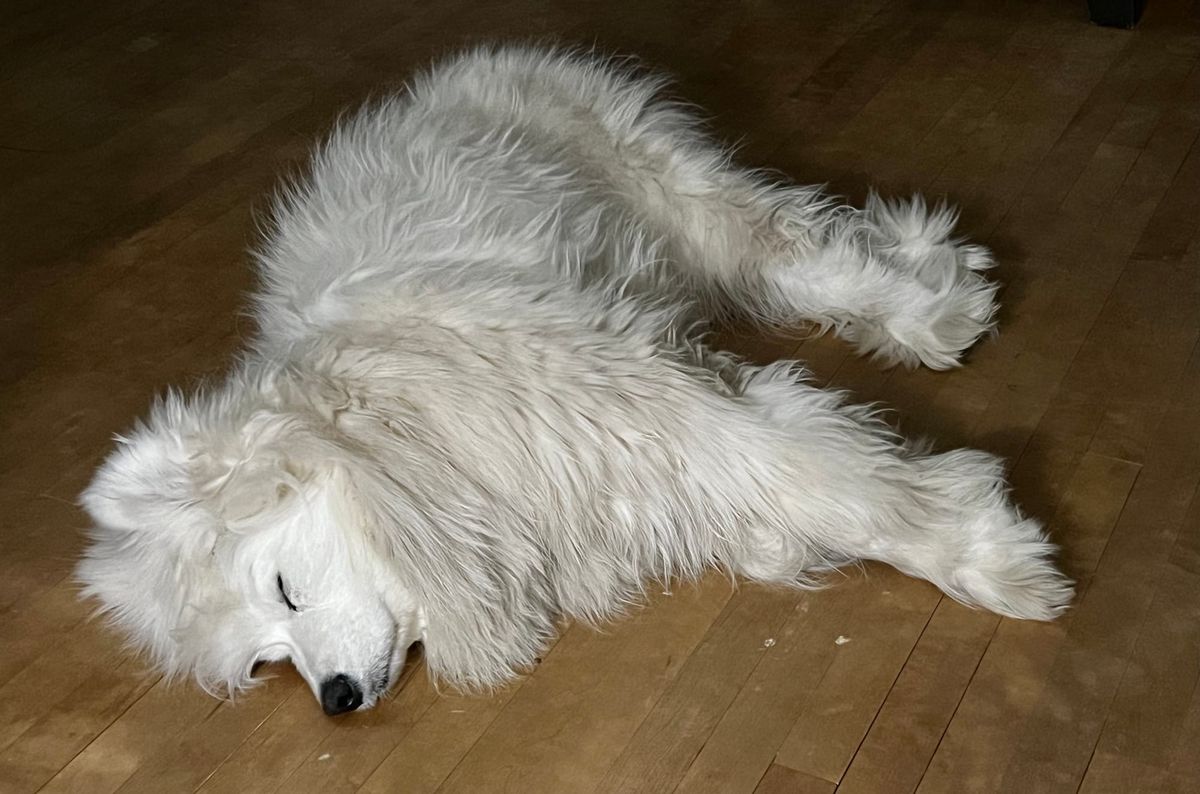 Isaac says good night