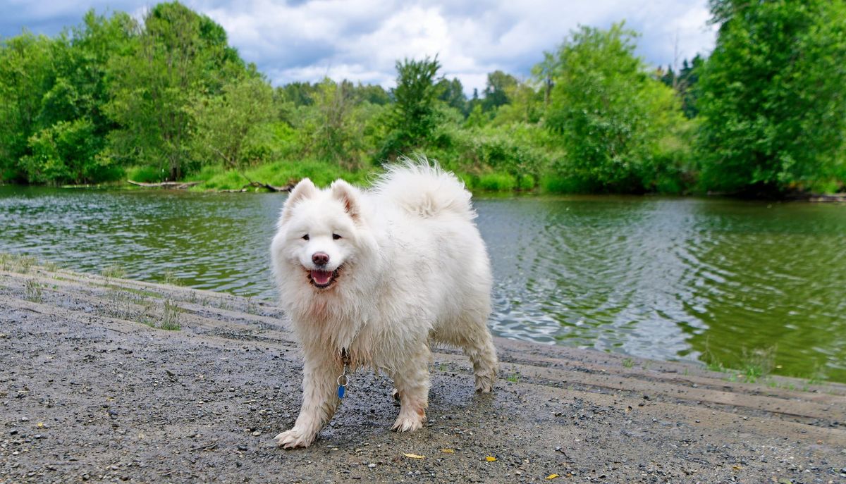 TBT: Alice's last trip to Marymoor