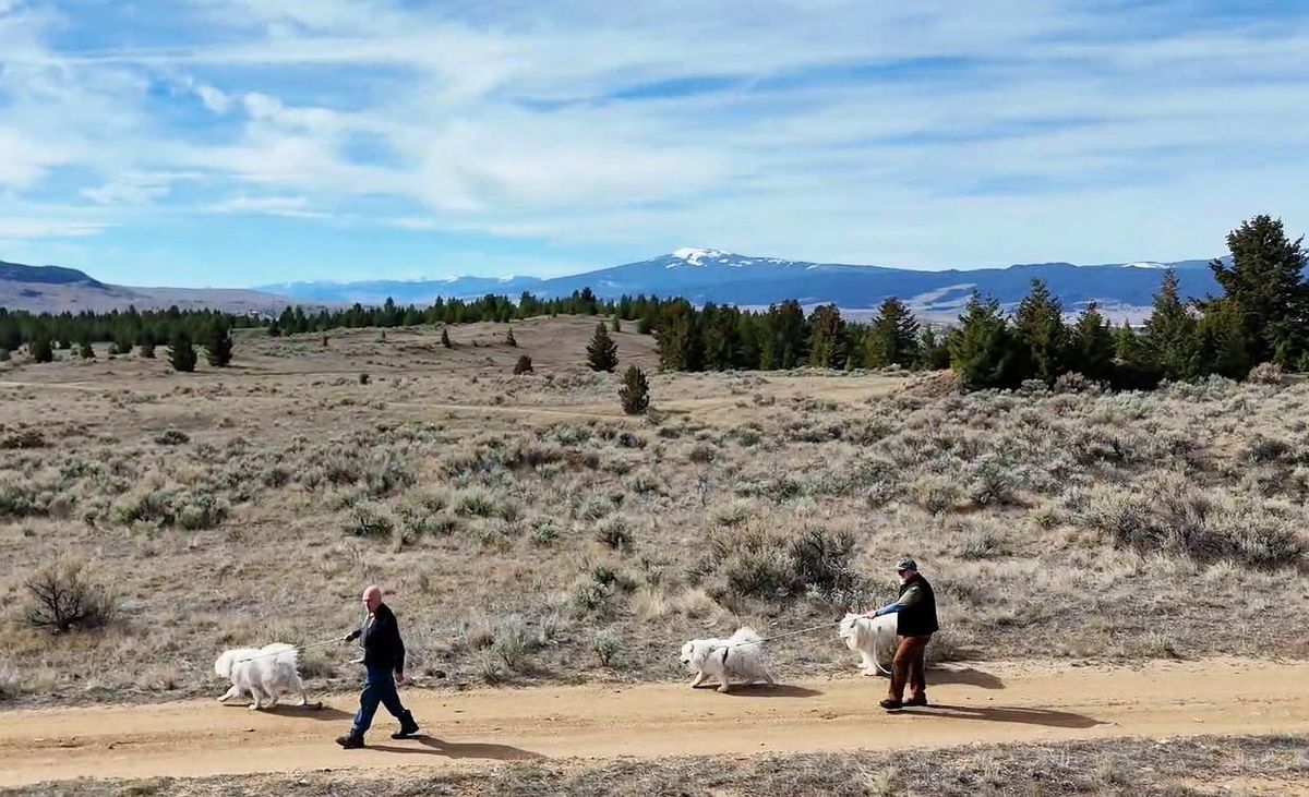 A walk with Craig