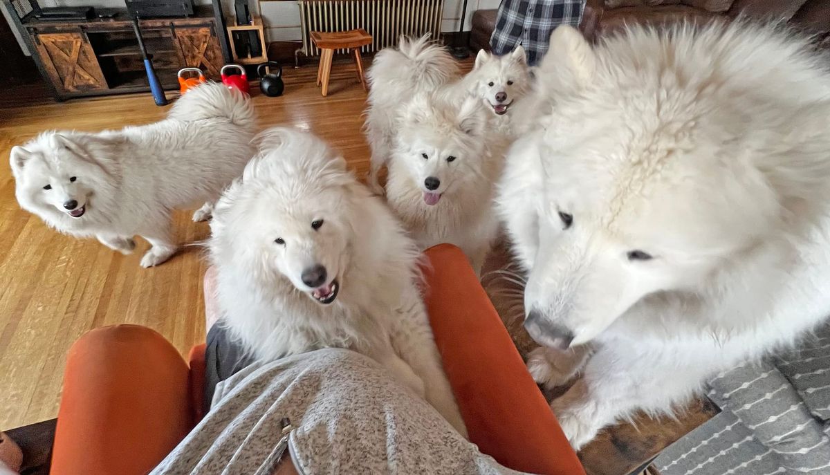 A visit from Strummer and Zevon