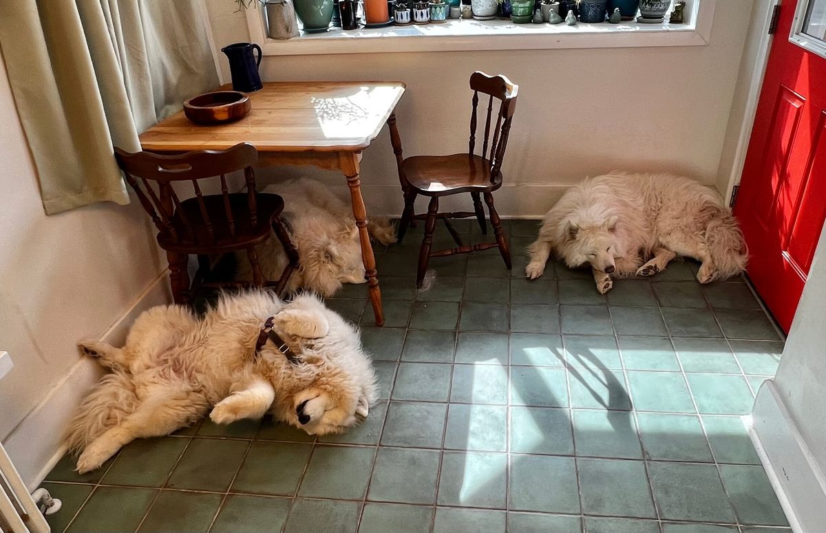 Supervising kitchen remodeling