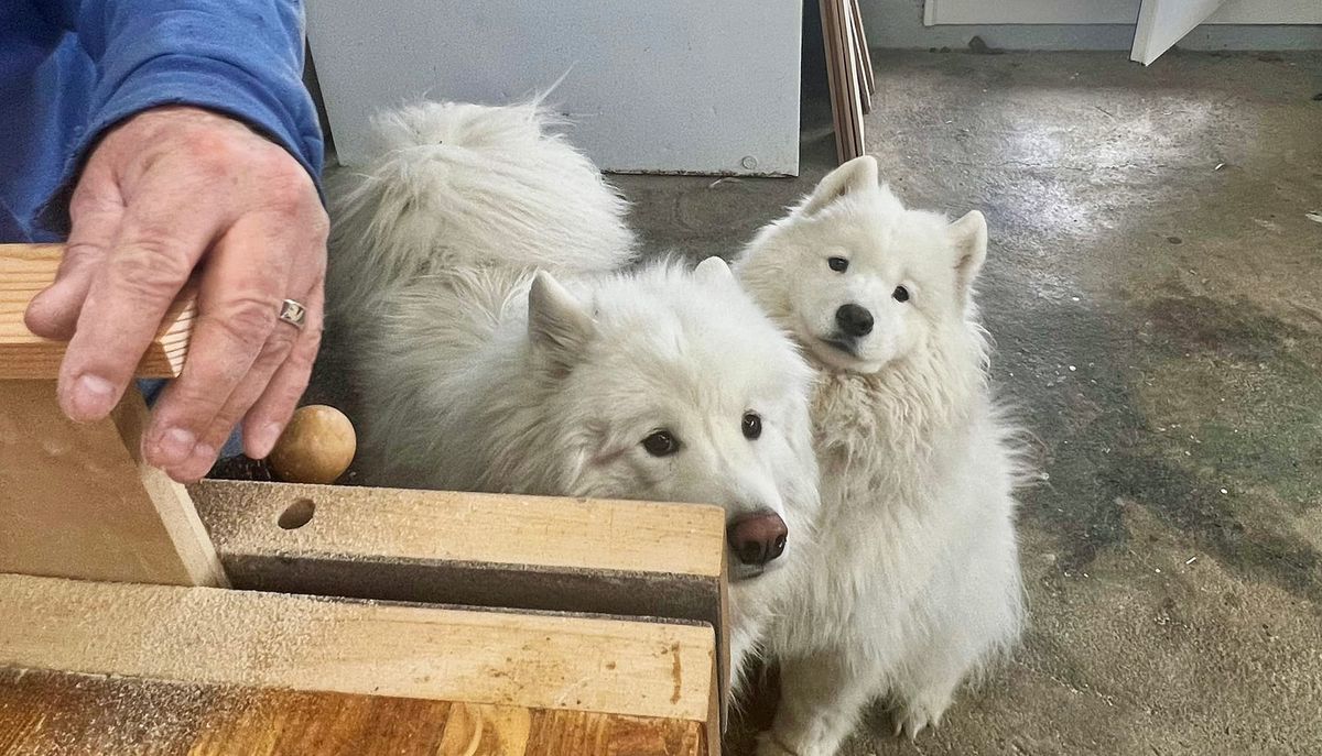Supervising sanding