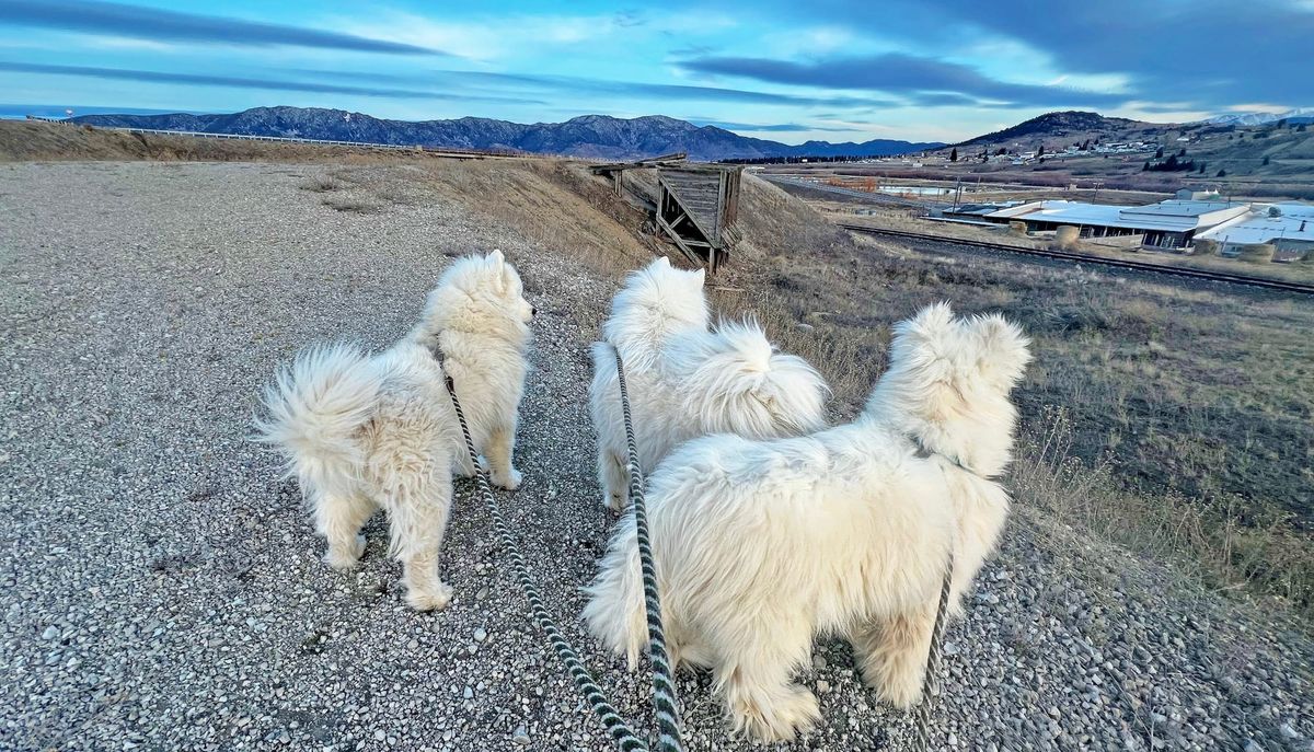A walk west of town