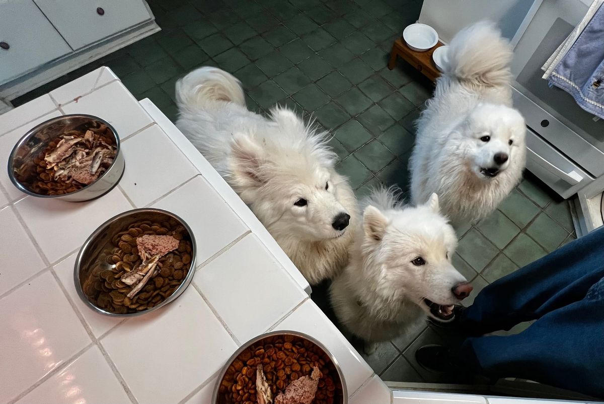 Dinner time!
