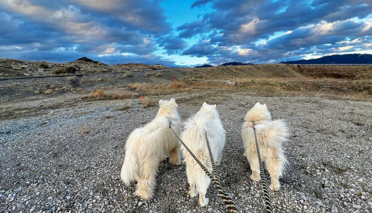 Evening walk