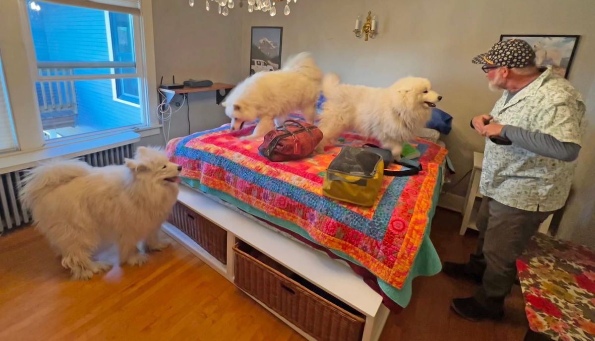 House guest