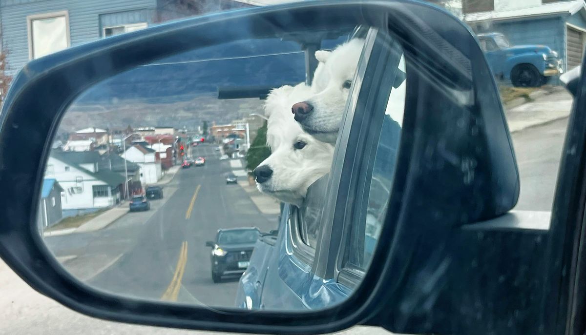 Driving around town