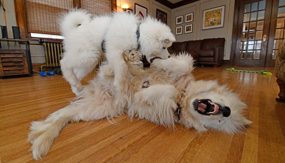 Throwback Thursday: everyone against George