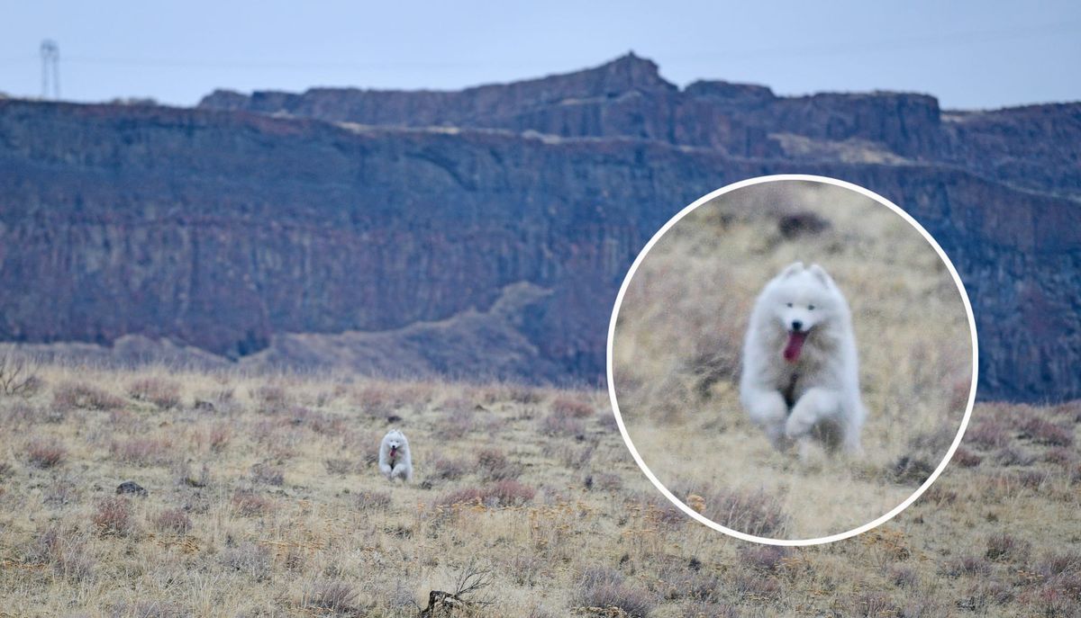Throwback Thursday: Nancy running free
