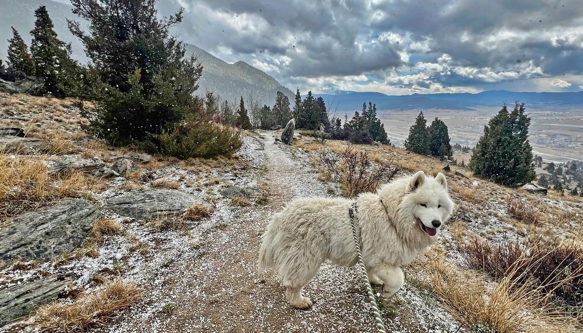 Nancy's hike