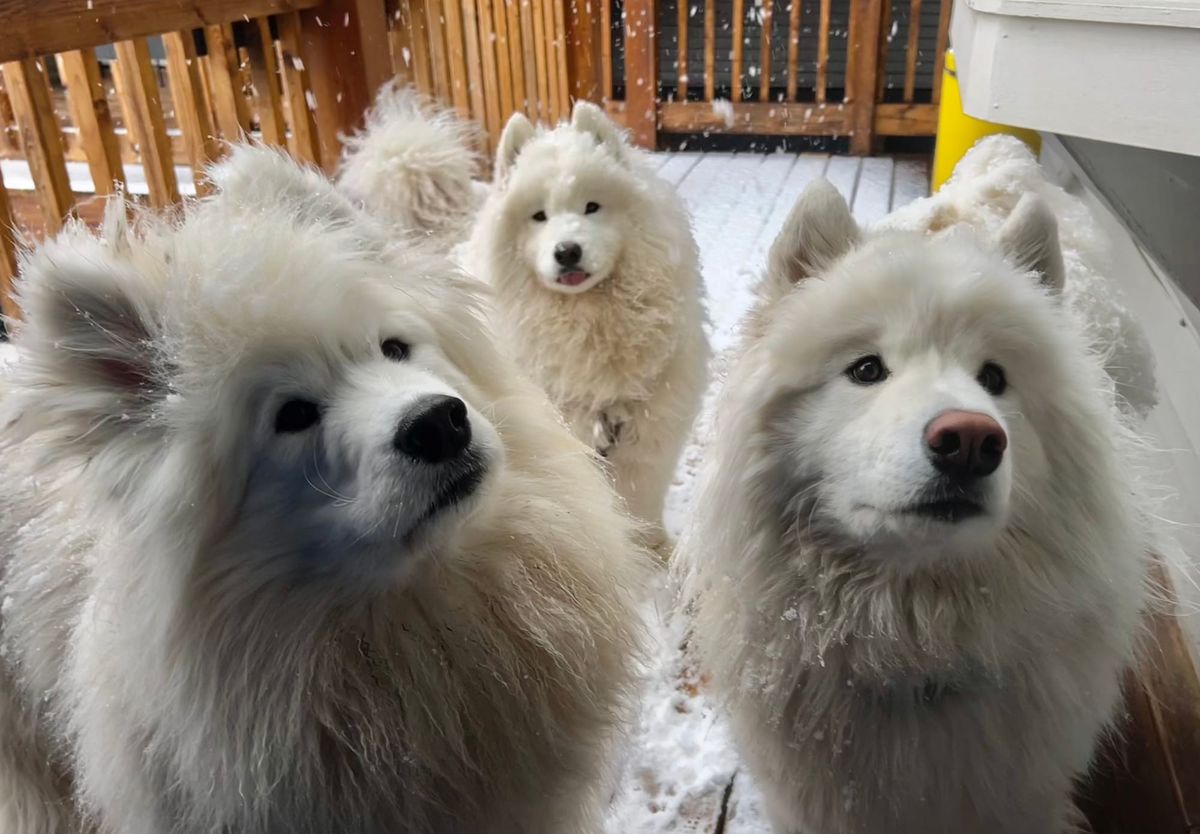 Snow!