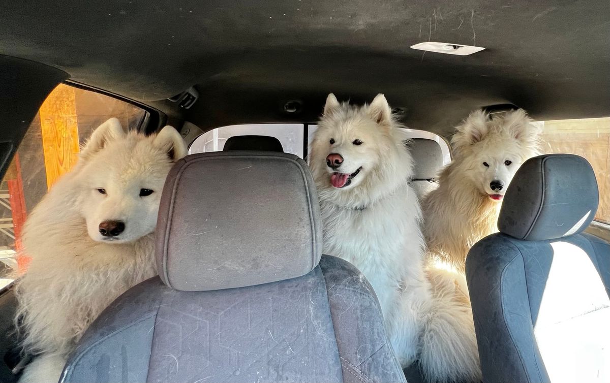 Headed to the Highlands