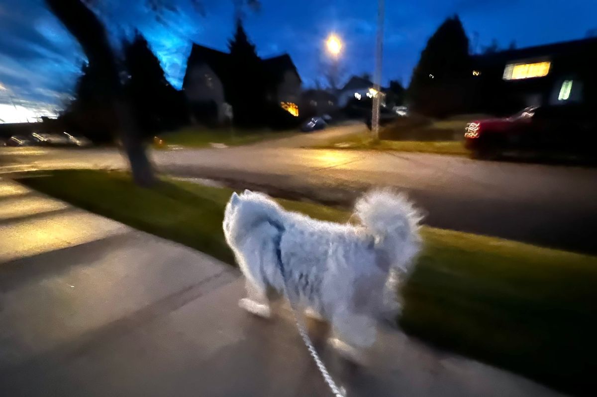 Nancy the negotiator