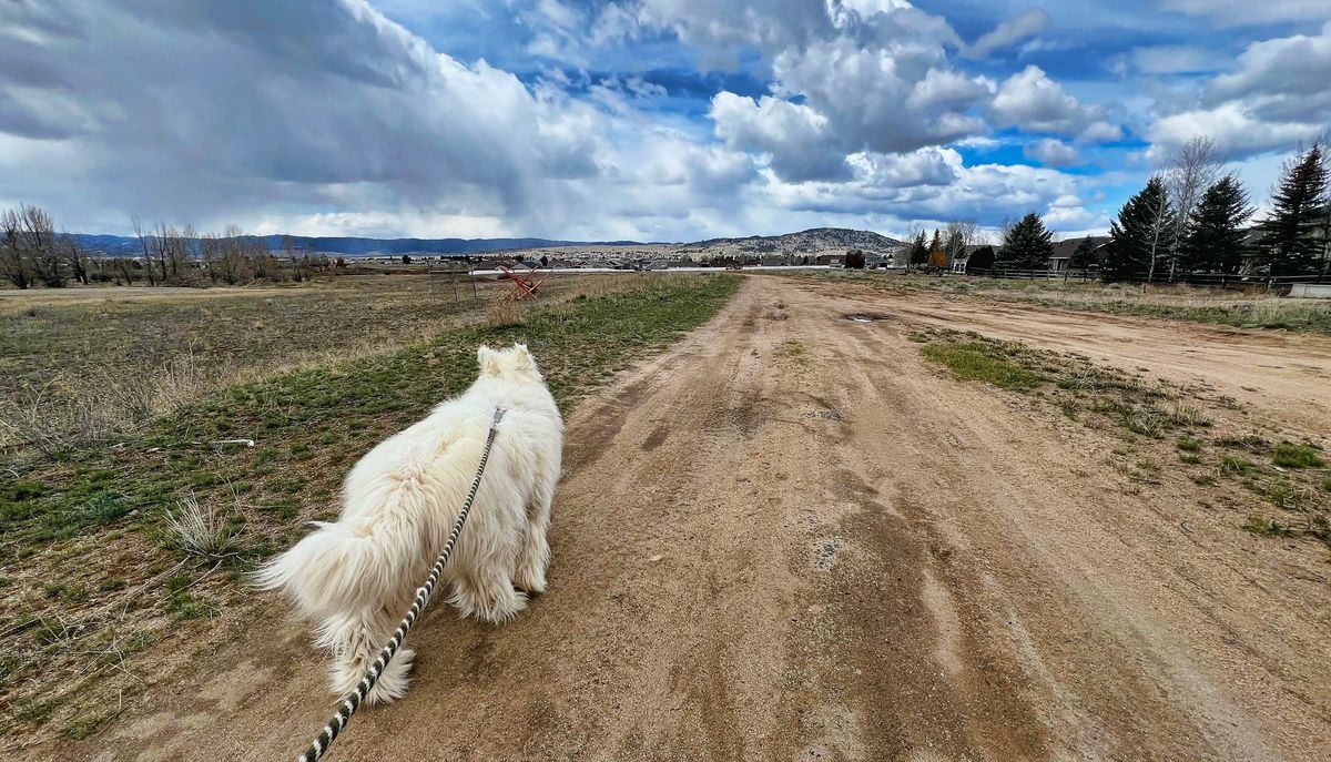 Friday afternoon walks