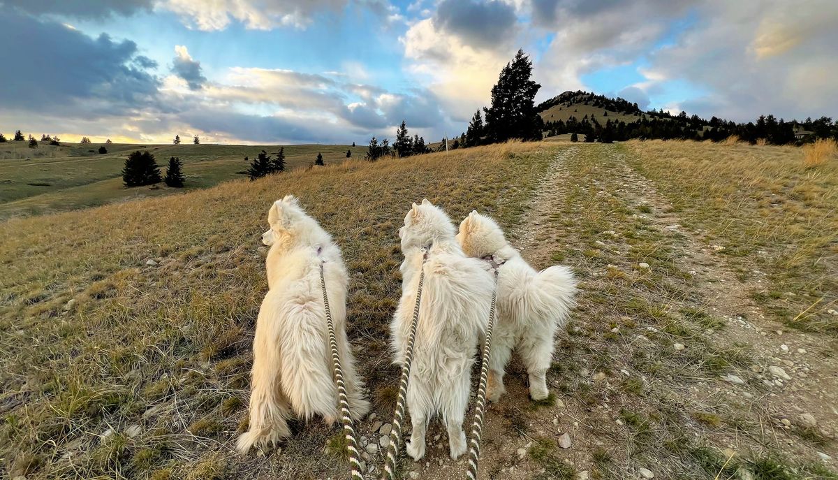 Sunset walk at Montana Tech