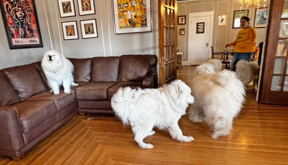 A visit from Strummer & Zevon