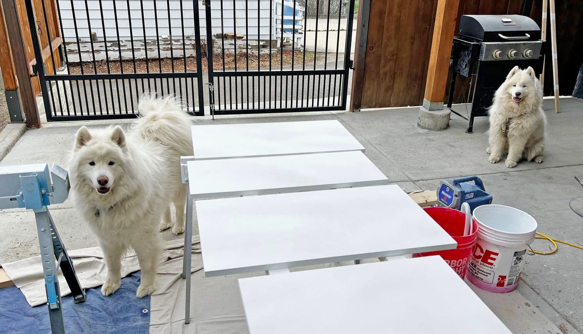 Painting cabinet doors
