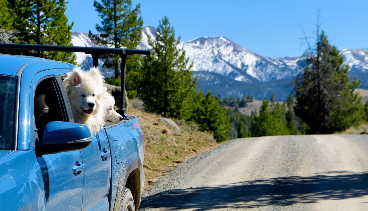 Exploring the Highlands