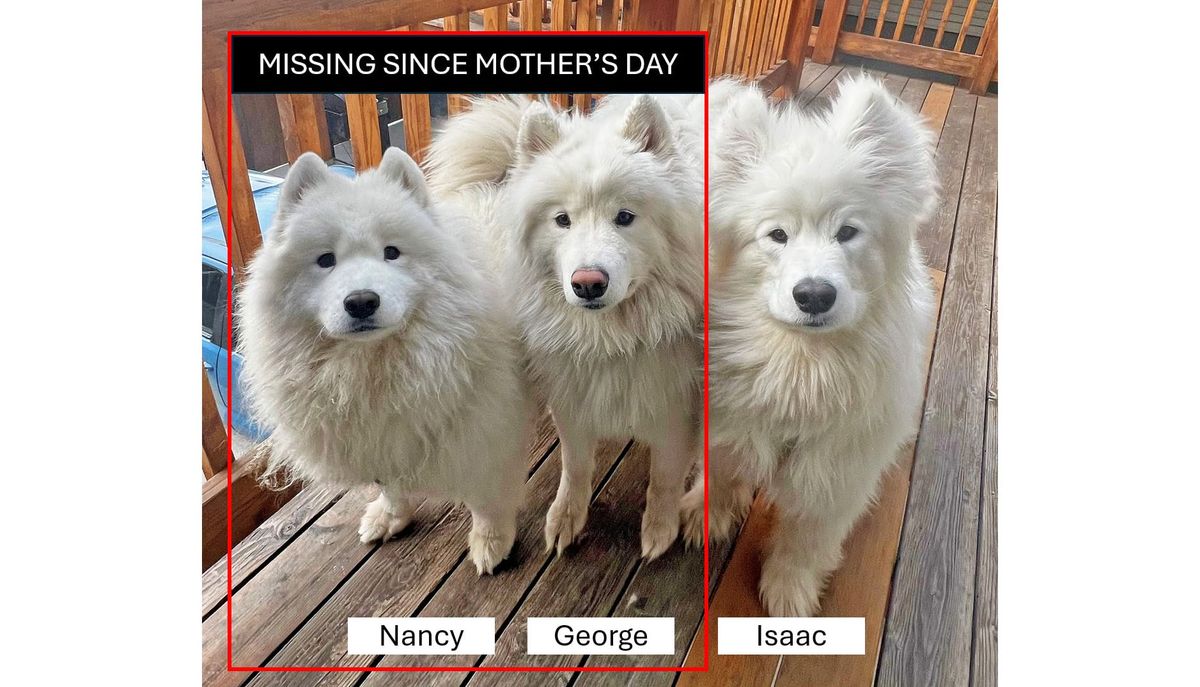 Bring Nancy and George home!