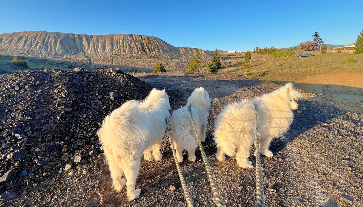 Saturday evening walk