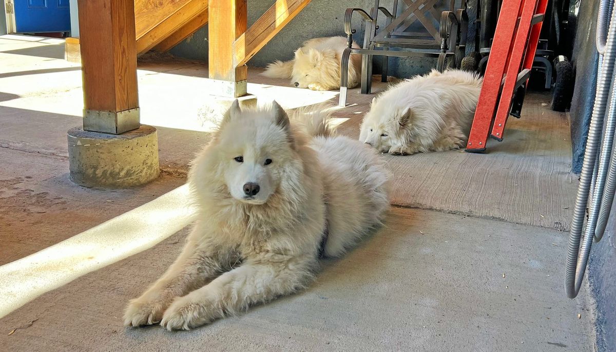 In the shade