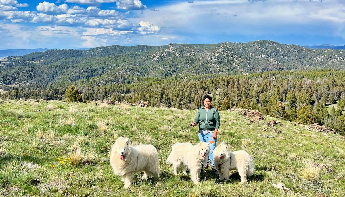 Pack walk in the Highlands