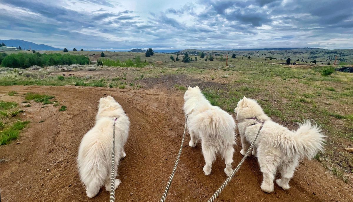 After-breakfast walk