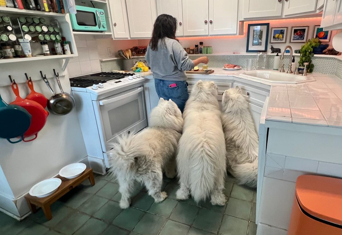 Helping make dinner