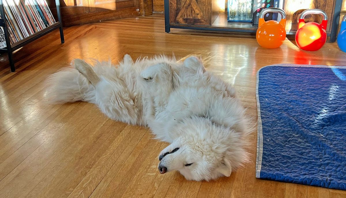 Three bellies up