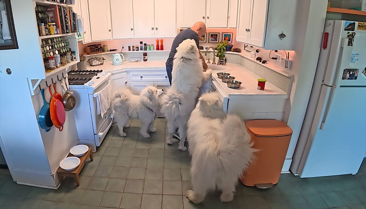 Dinner time