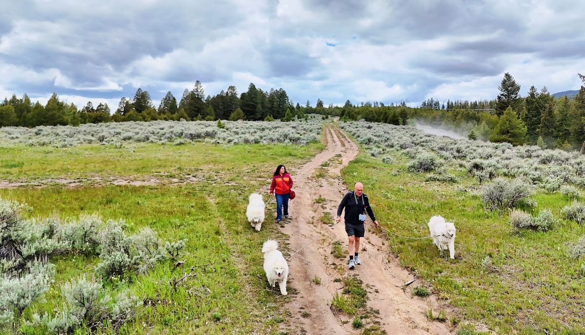 A walk in the Boulder Mountains