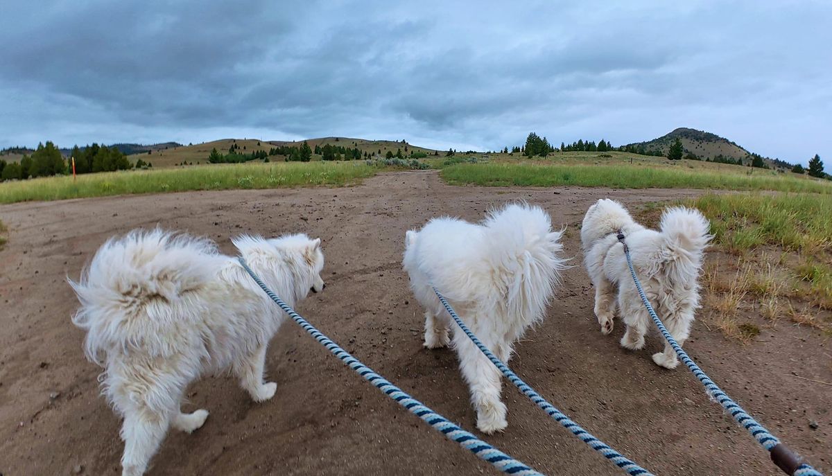 A walk between showers