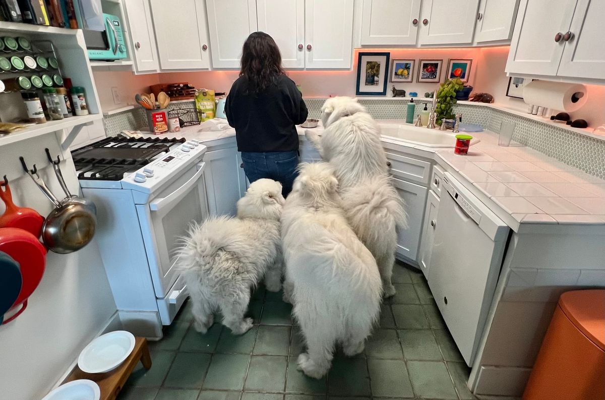 Dinner time!