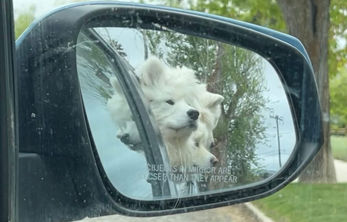 Sunday errands