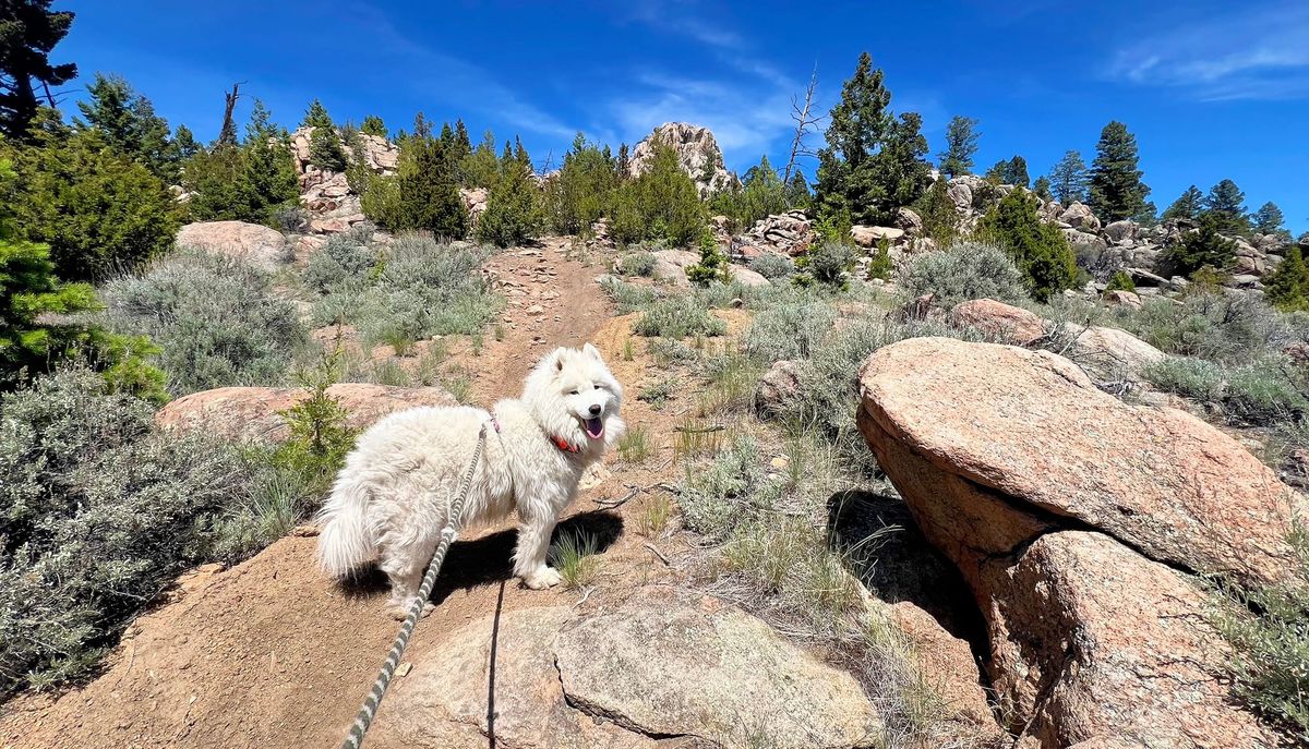 Nancy exploring Spire Rock