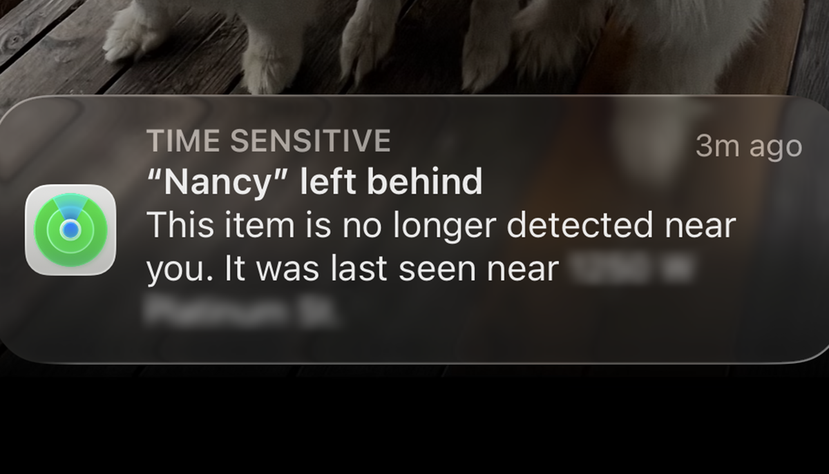 Nancy notifications