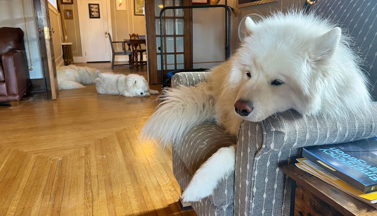 Waiting for breakfast