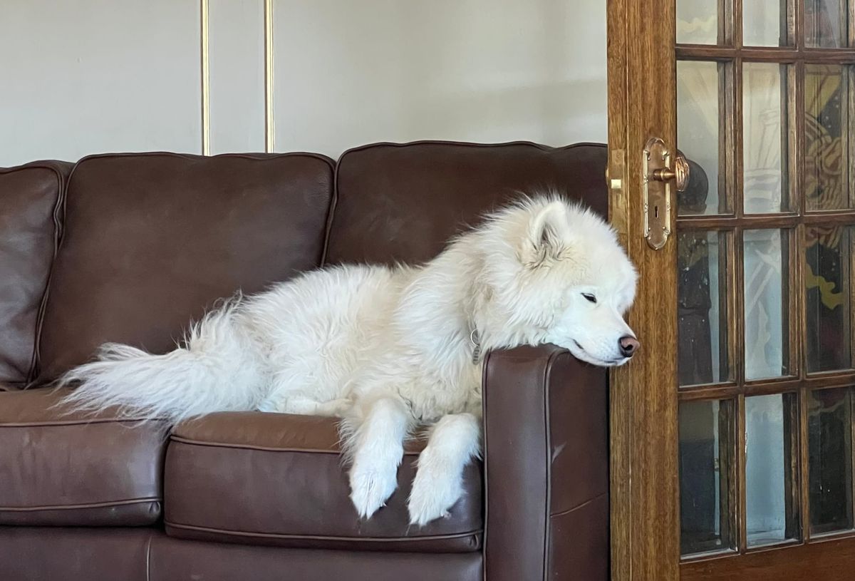 Lazy Sunday