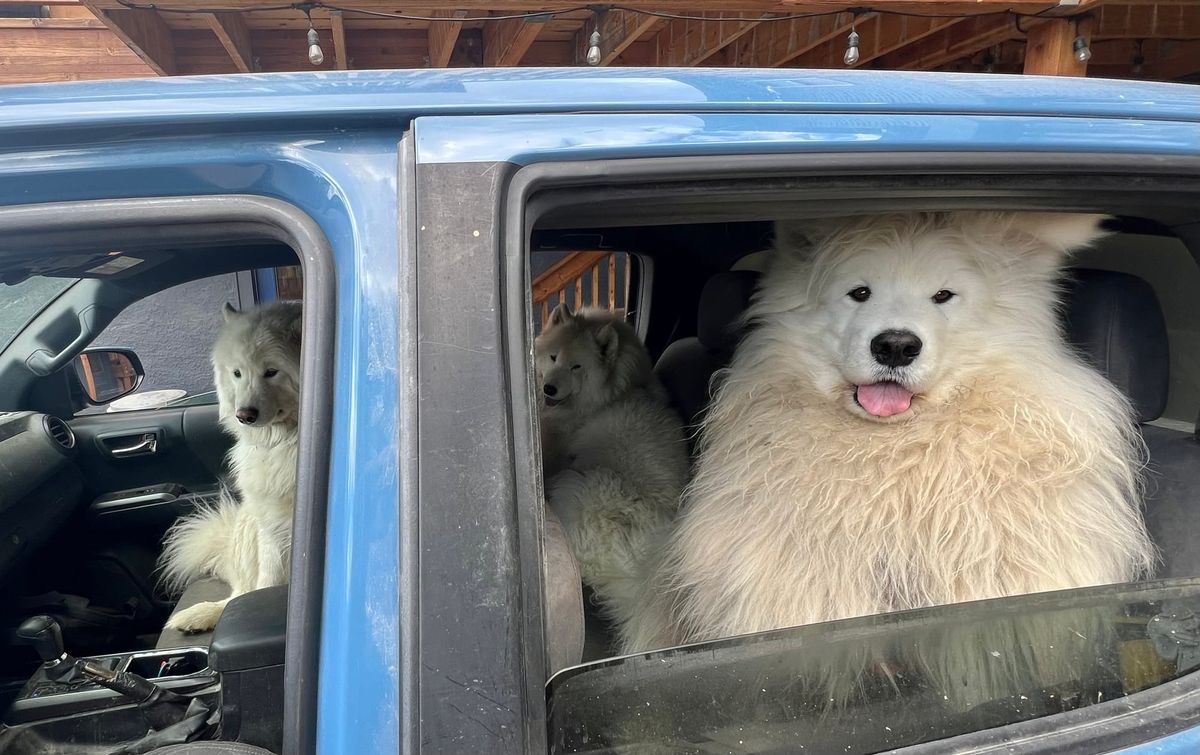 Headed to the mountains