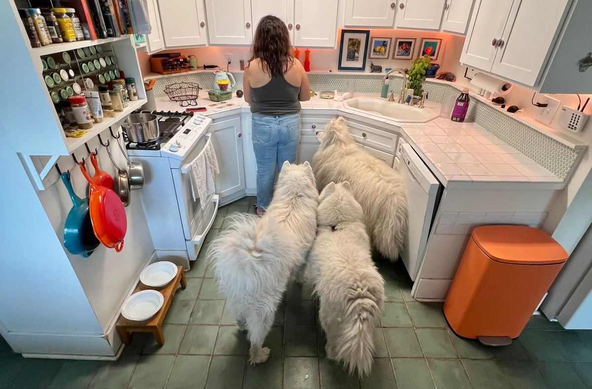 Is that broccoli?!