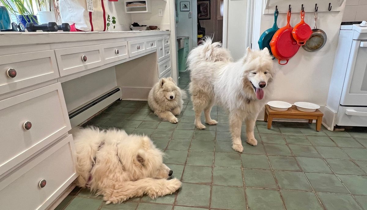 Waiting for guests