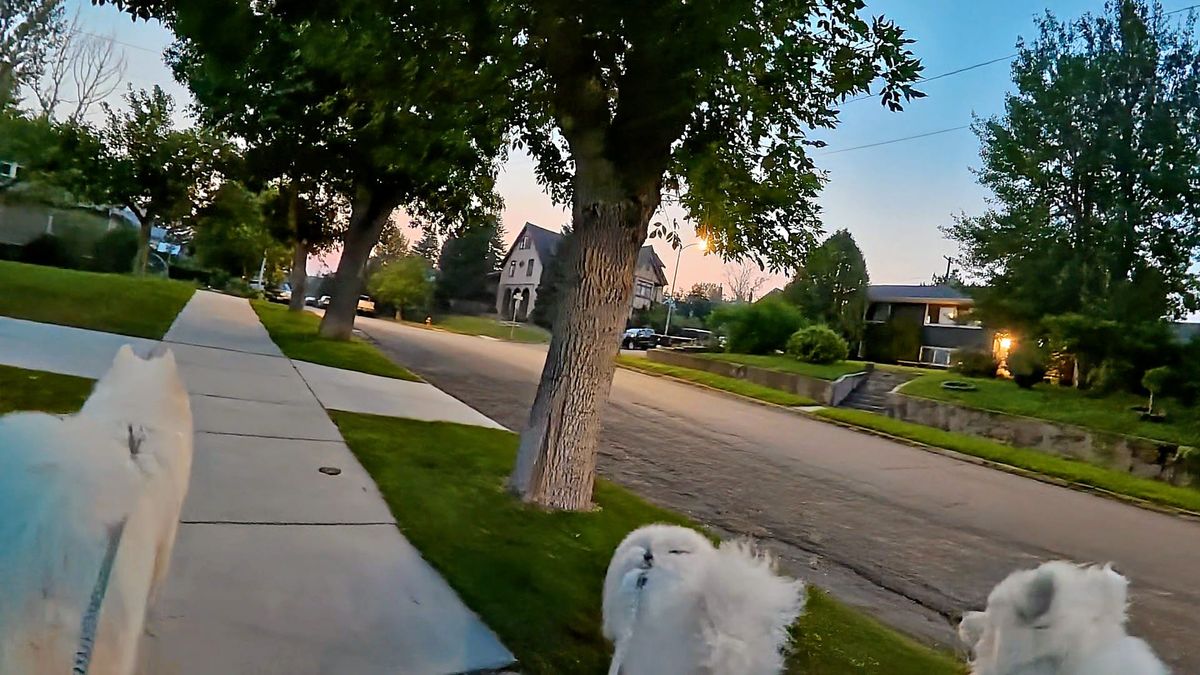 Good night!